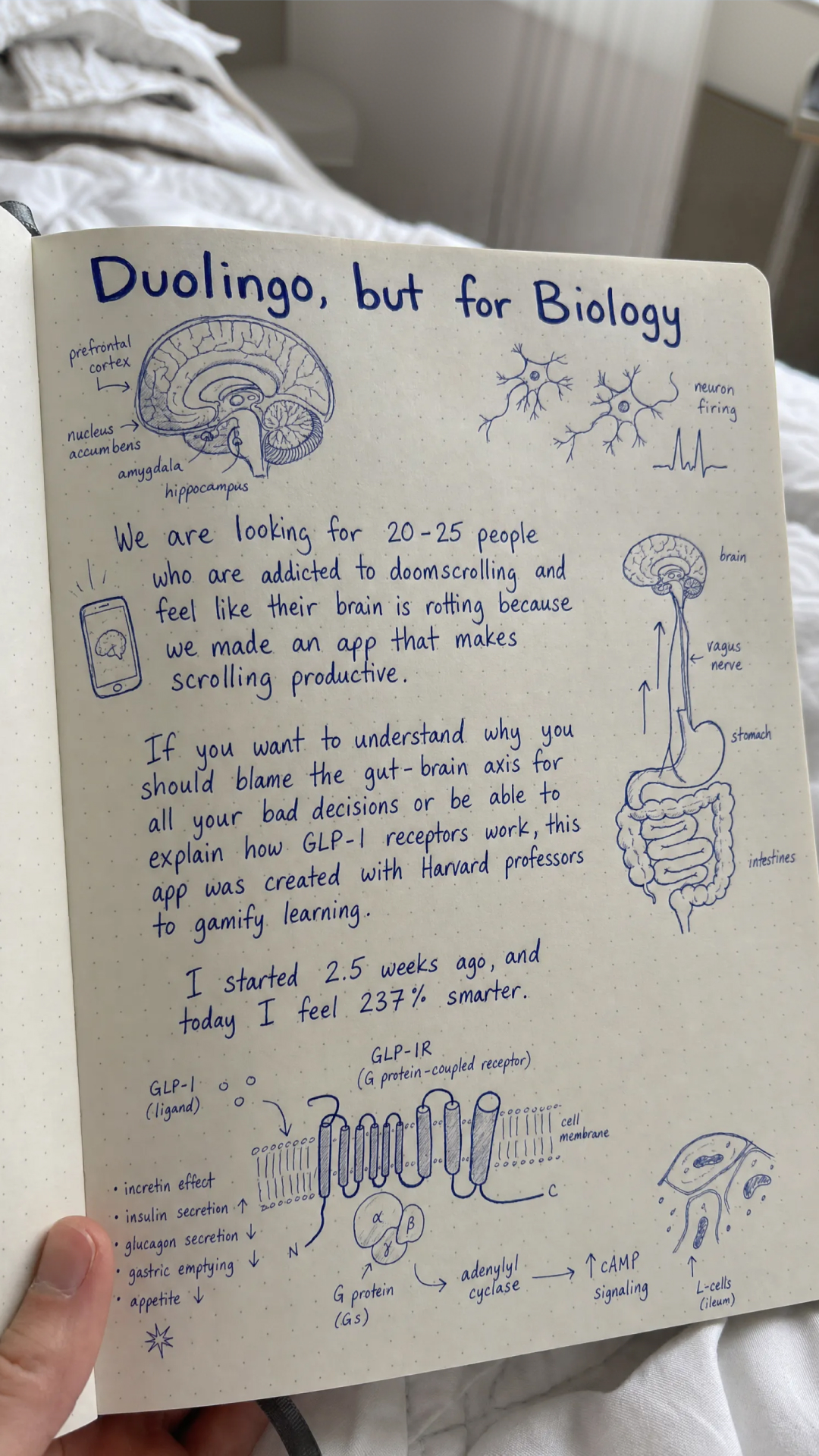 Imprint: Learn Visually Facebook ad