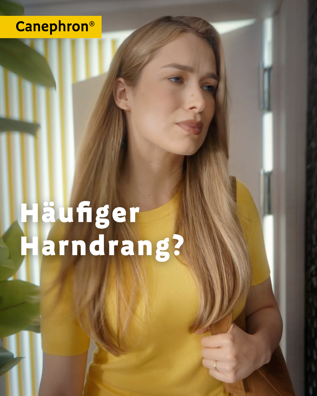 Canephron Österreich Facebook ad: Ständig auf der Toilette?