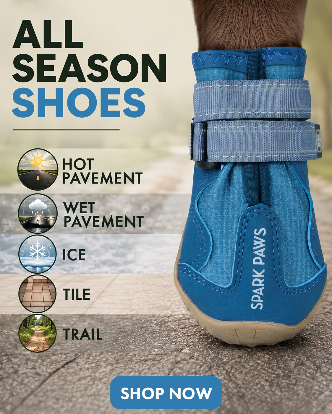 Spark Paws Facebook ad