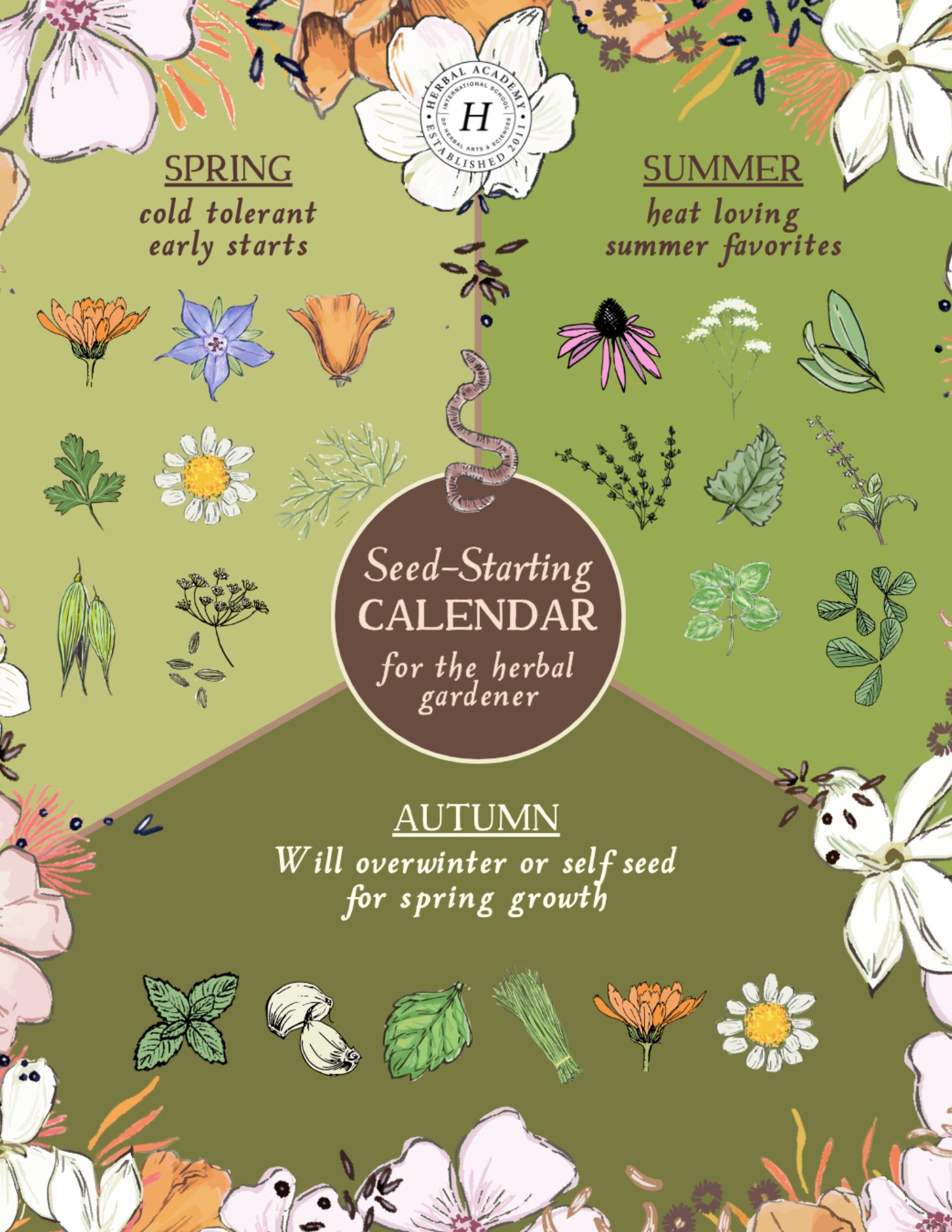 Herbal Academy Facebook ad: Download your free key today!