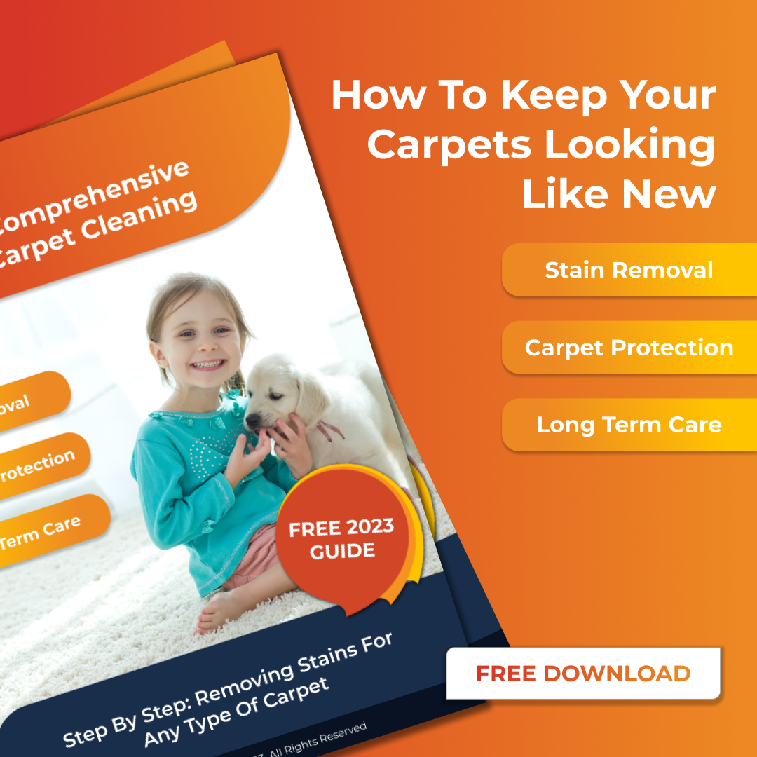 Sun Dry Carpet Steam Cleaning & Pest Control Services Facebook ad