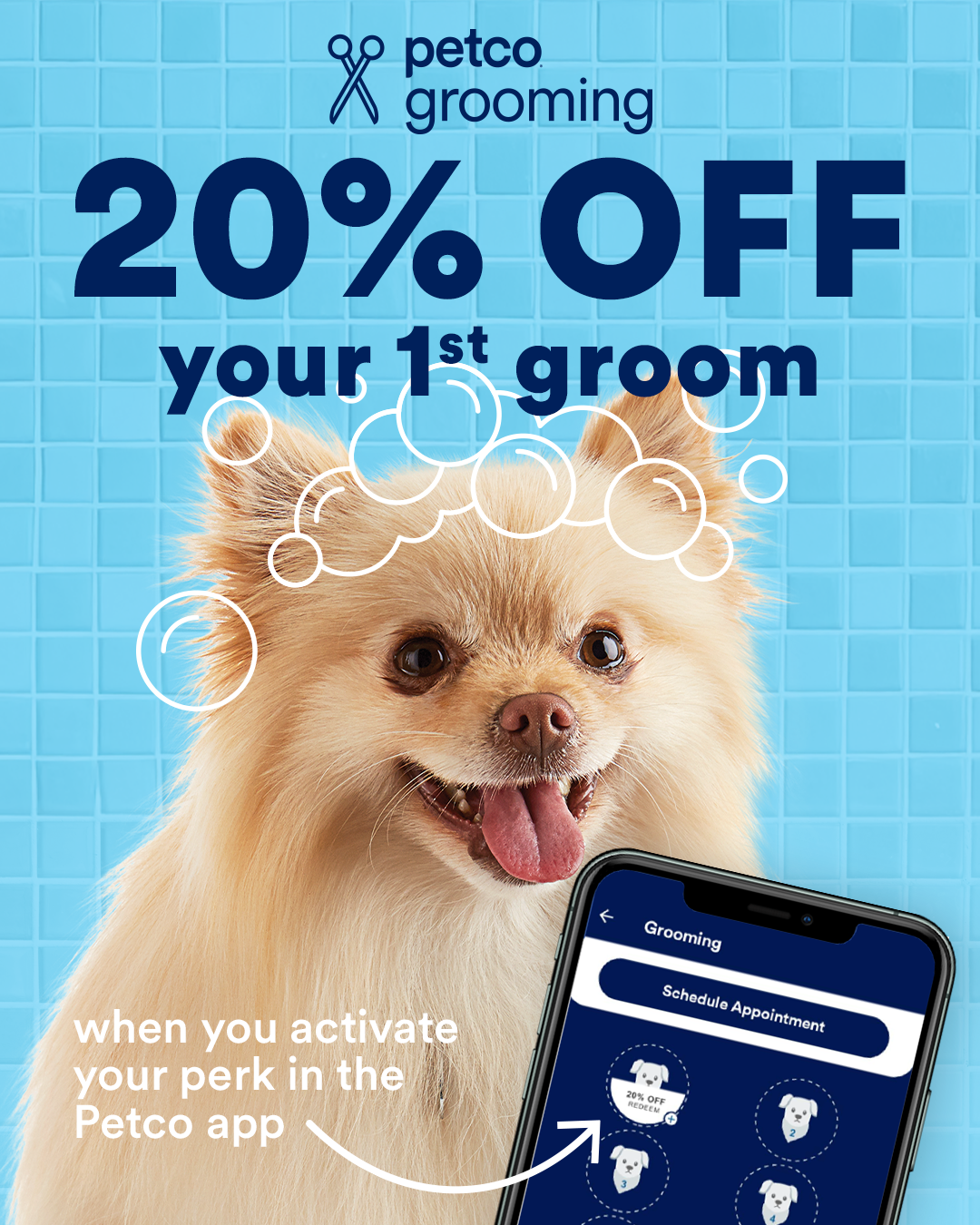 Petco Facebook ad