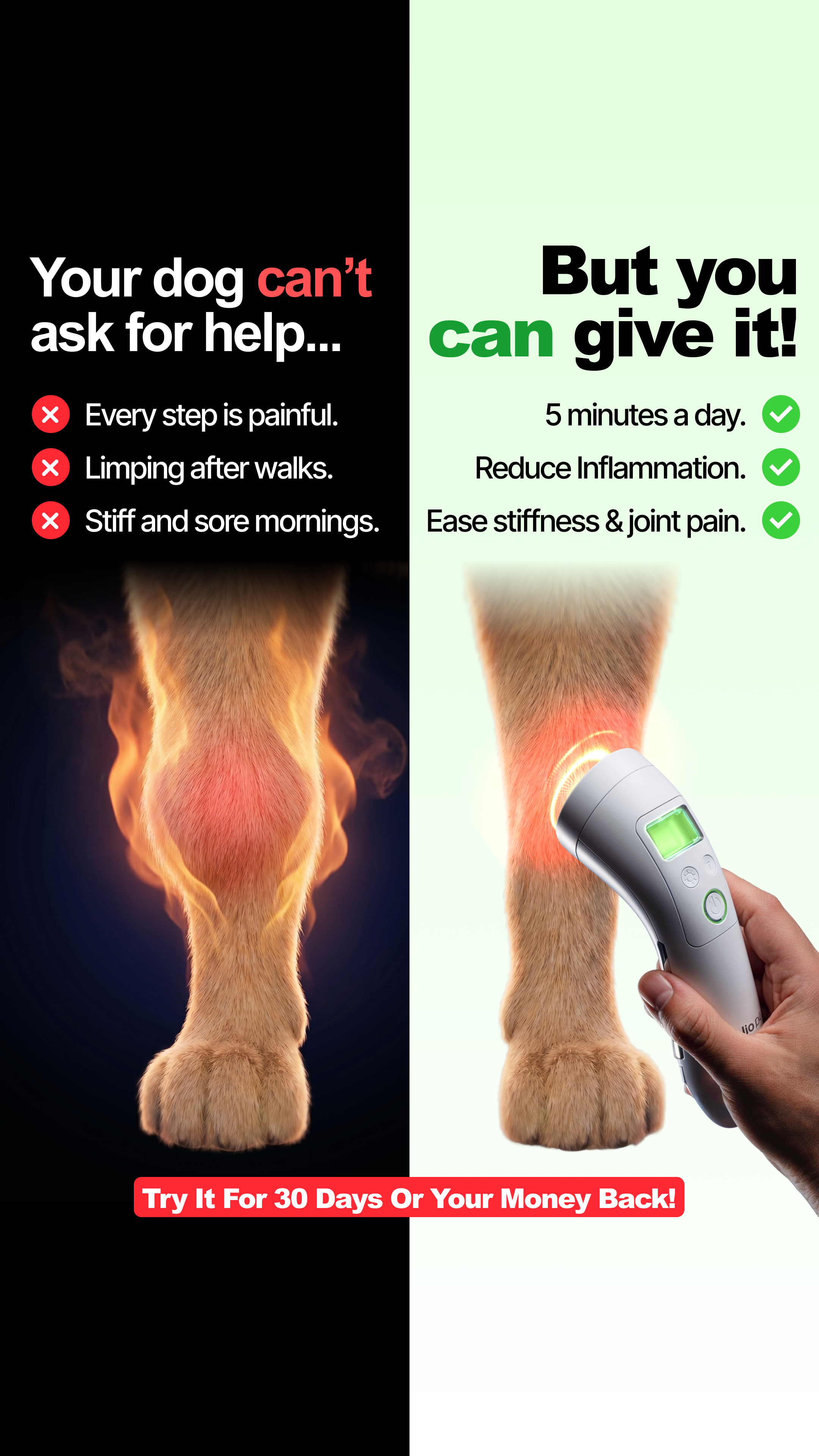 Helio Pet Facebook ad