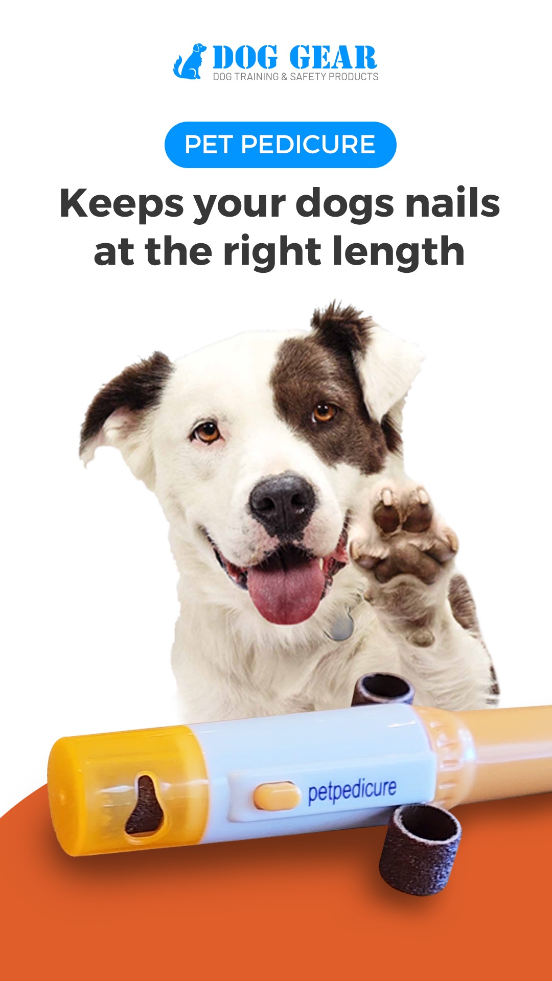 Dog Gear Facebook ad