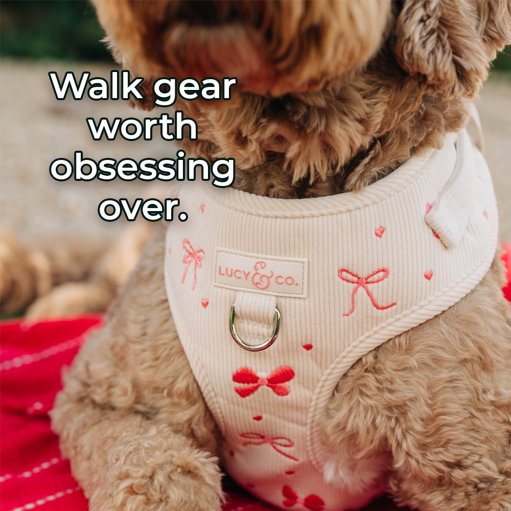 Lucy & Co. Facebook ad