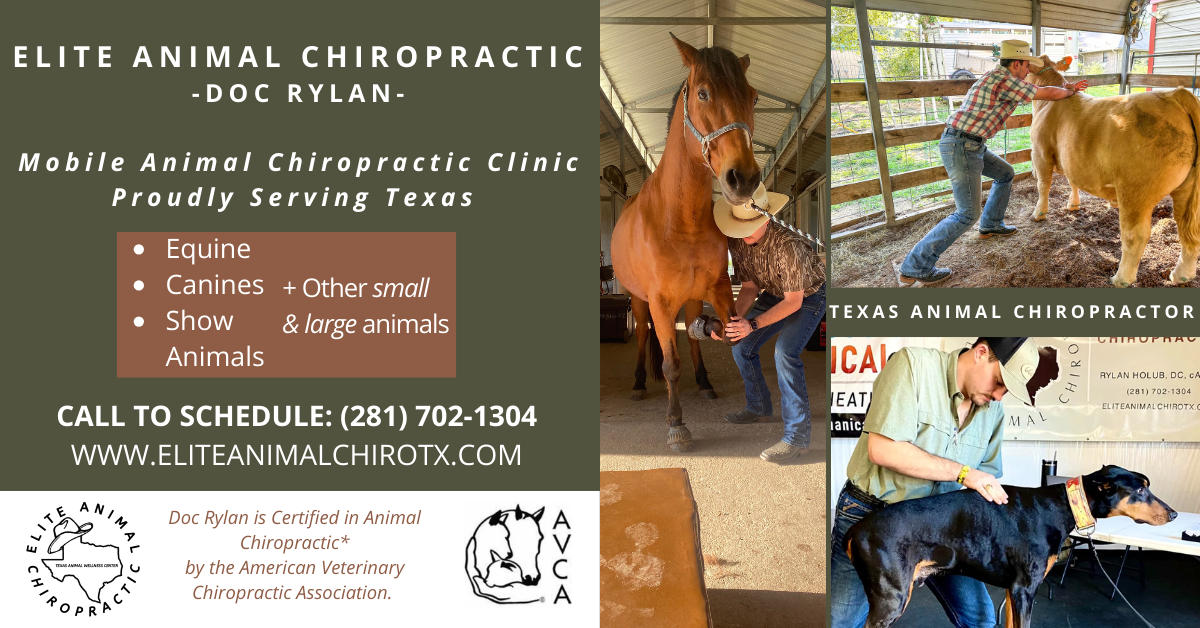 Elite Animal Chiropractic Facebook ad