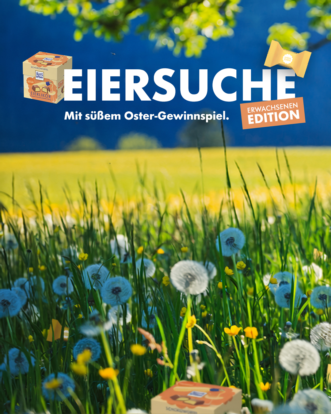 Ritter Sport Facebook ad: Heute schon dein Körbchen gefüllt?