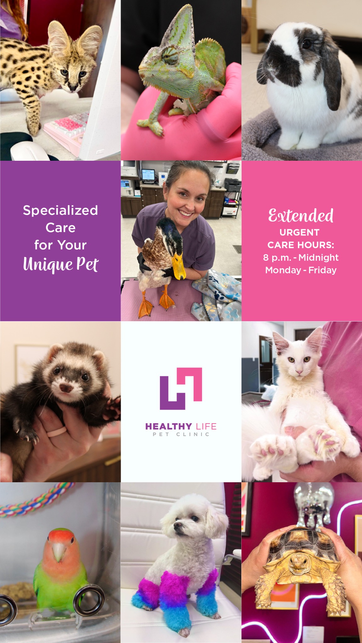 Healthy Life Pet Clinic Facebook ad from Jun 5, 2026