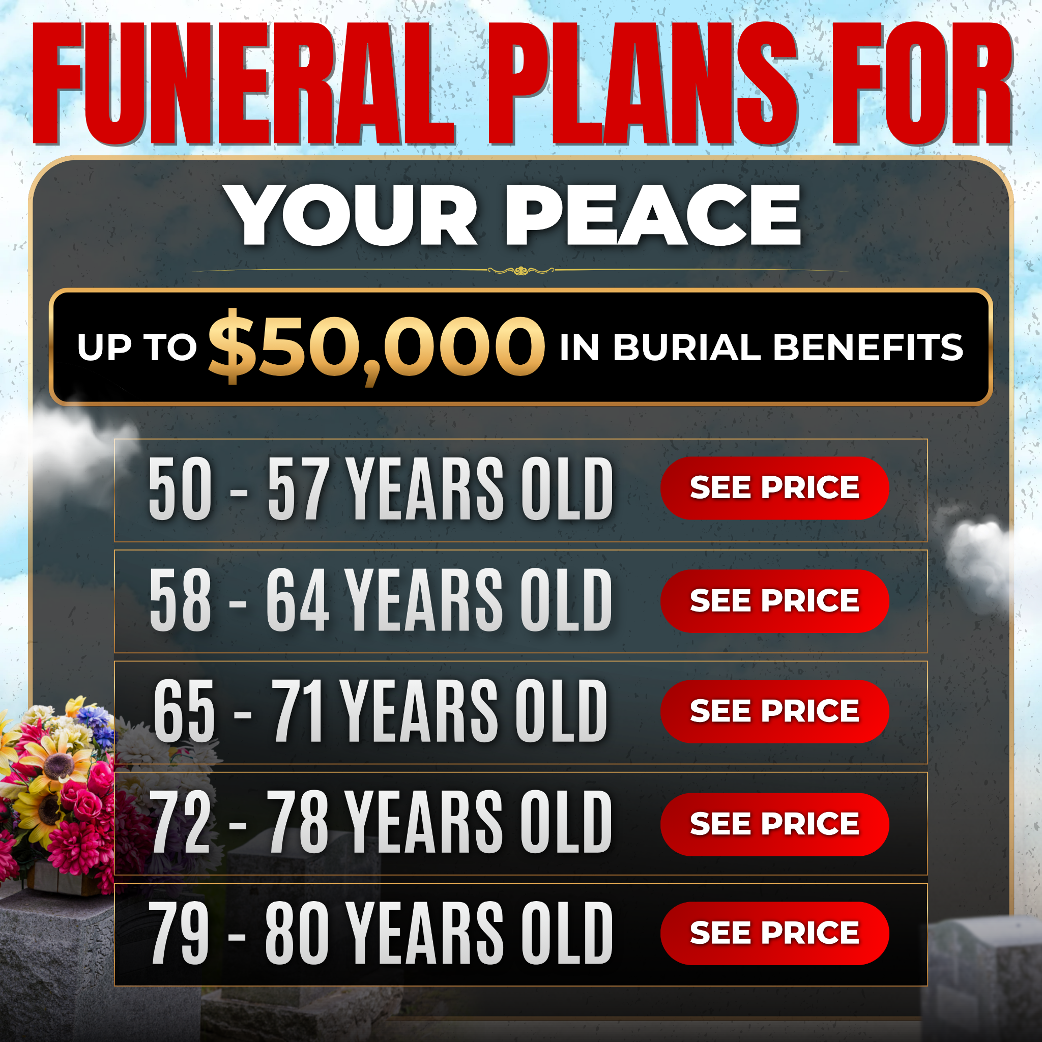 Veritas Financial Group Facebook ad