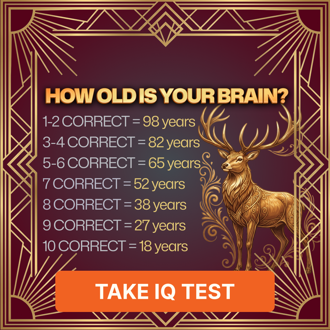 My IQ Facebook ad