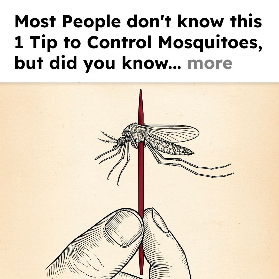 Mosquito Secrets Facebook ad