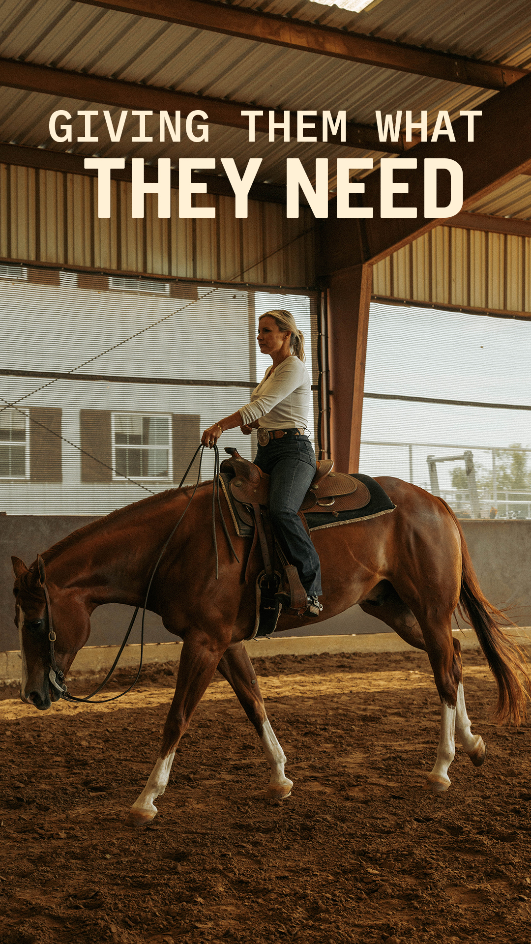 Purina Horse Facebook ad from Sep 2, 2026