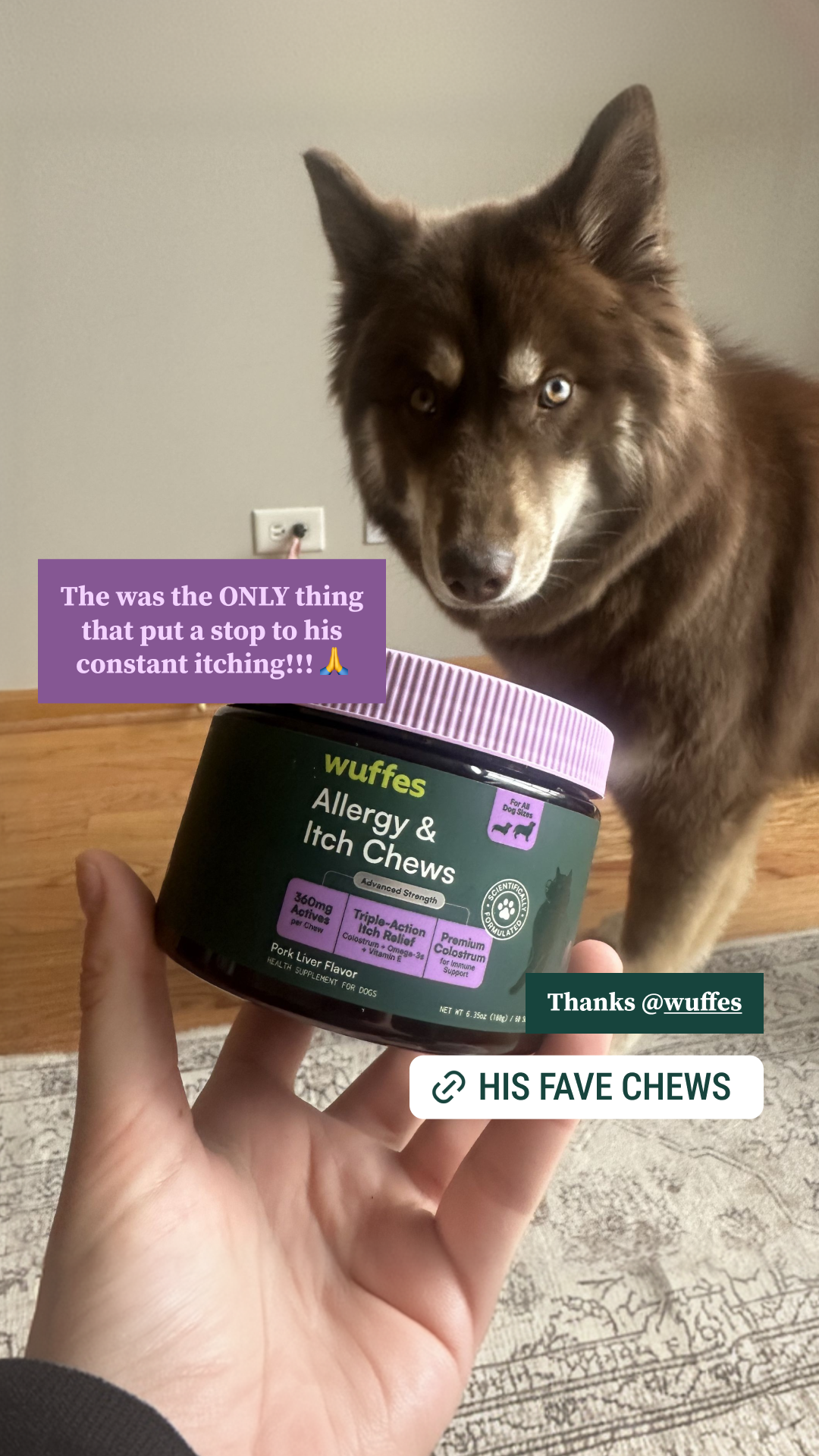 Wuffes Facebook ad
