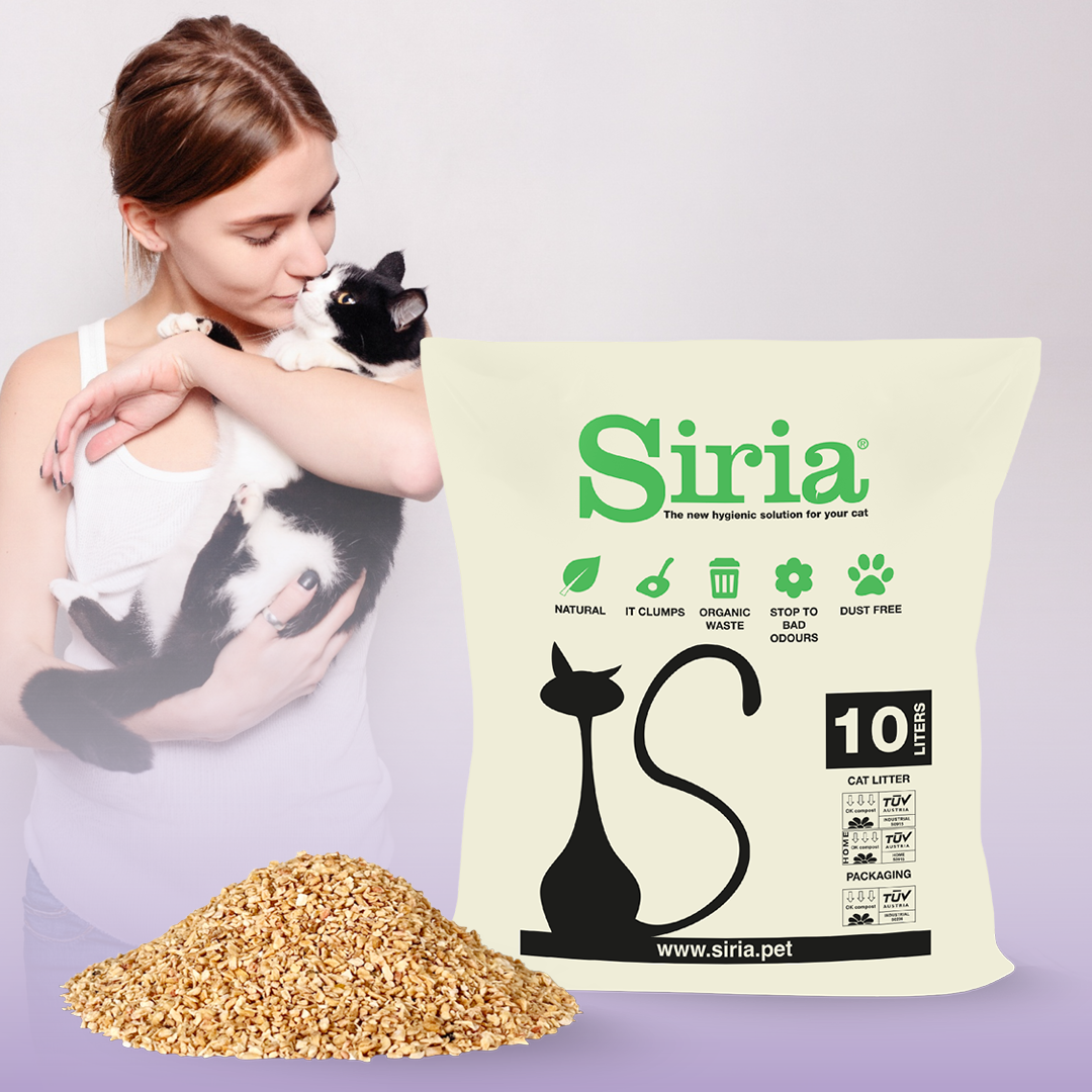 Siria Facebook ad