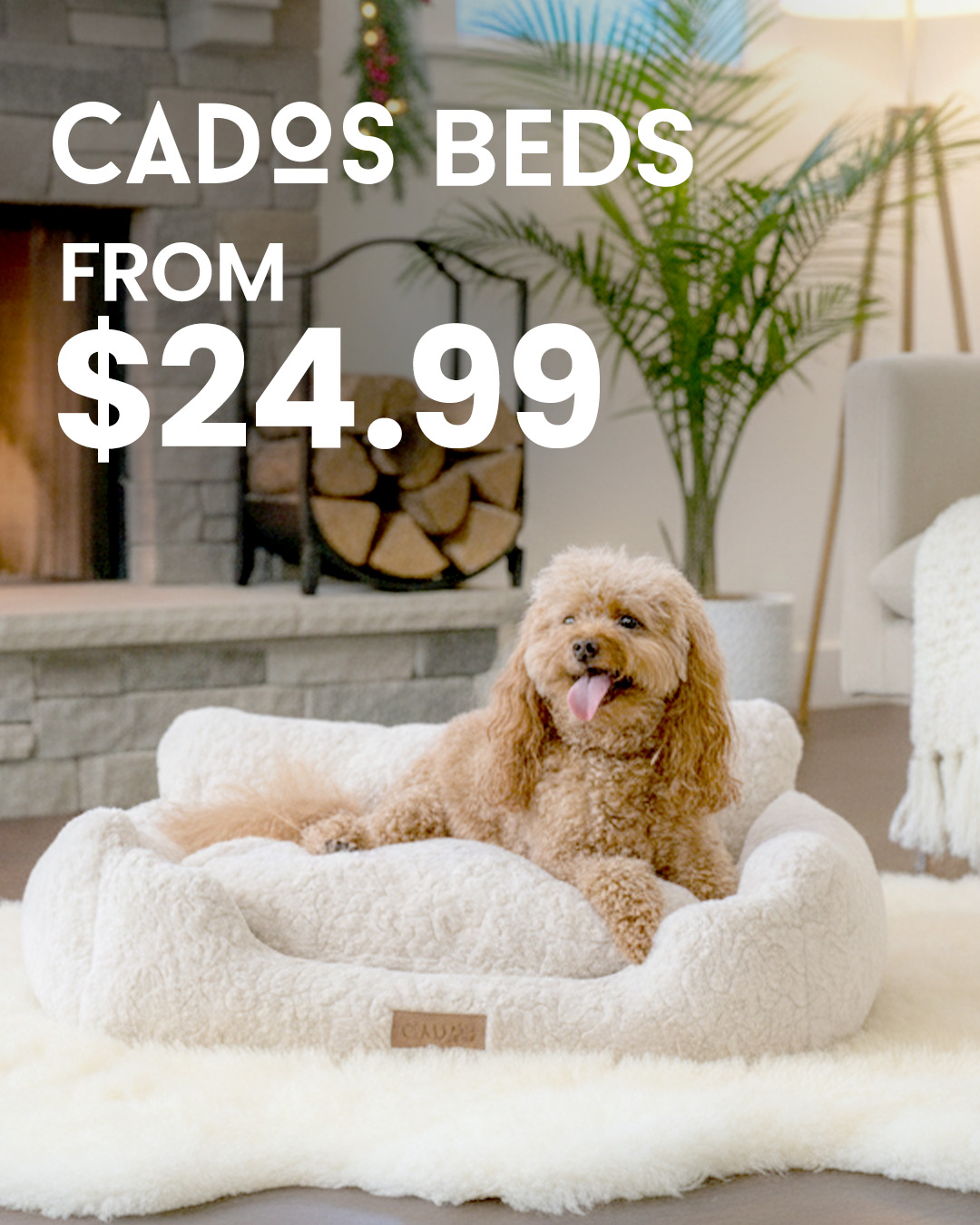 Budget Pet Products Facebook ad