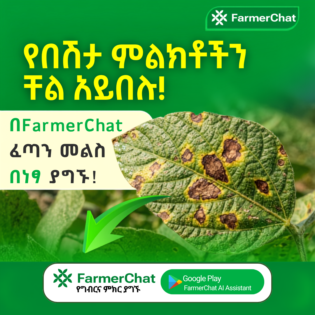 FarmerChat Ethiopia Facebook ad from Aug 12, 2026