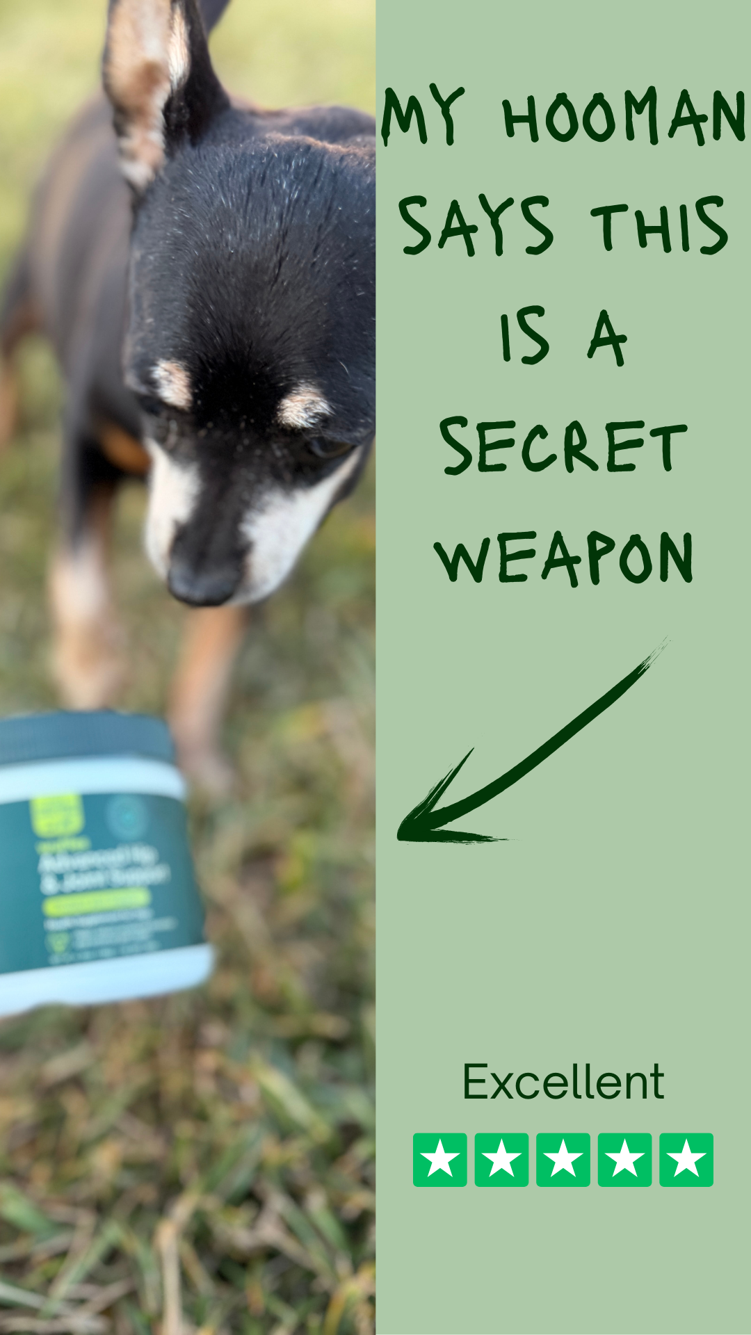 Wuffes Facebook ad