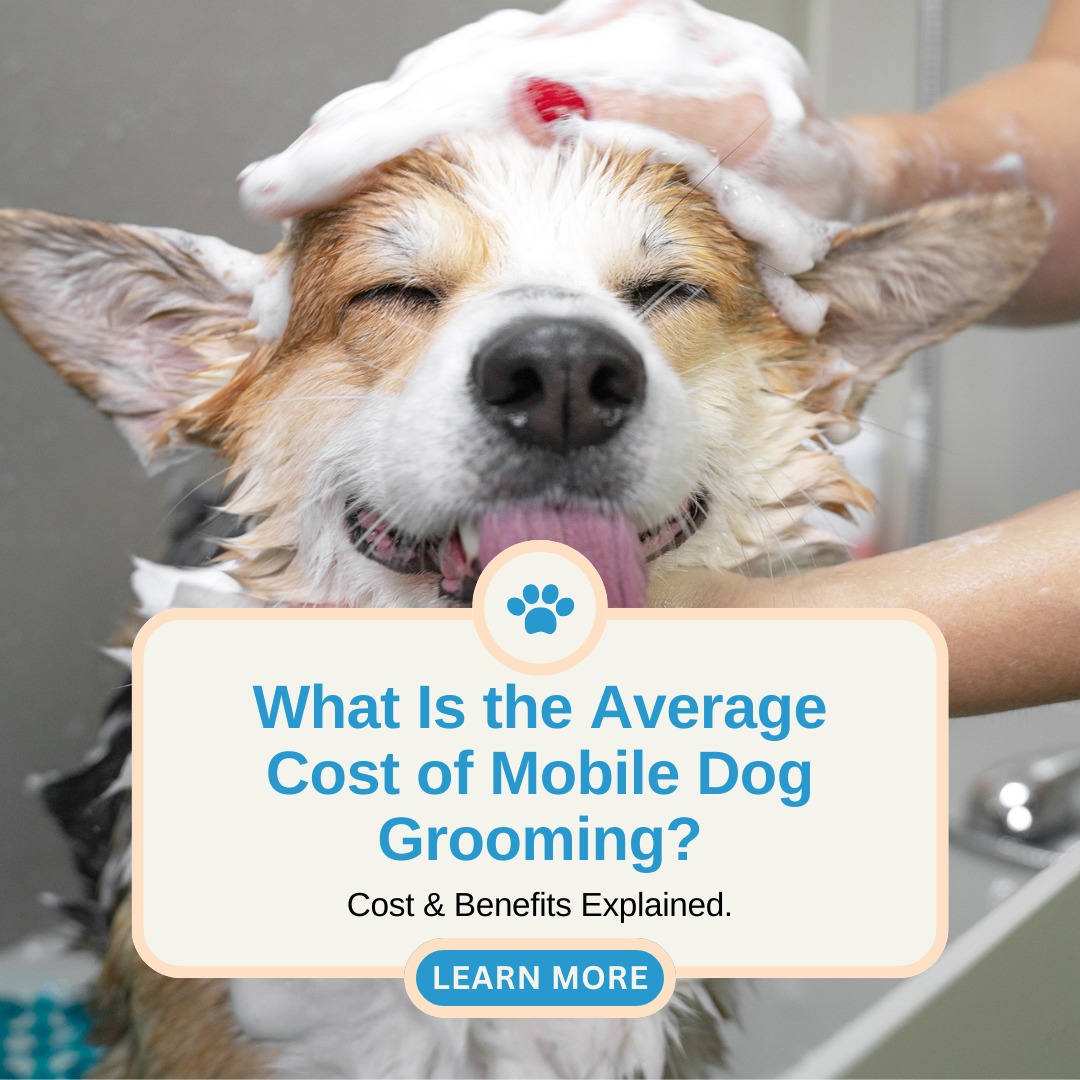 Mobile Pet Spa Inc. Facebook ad: Wondering about the cost of mobile dog grooming?