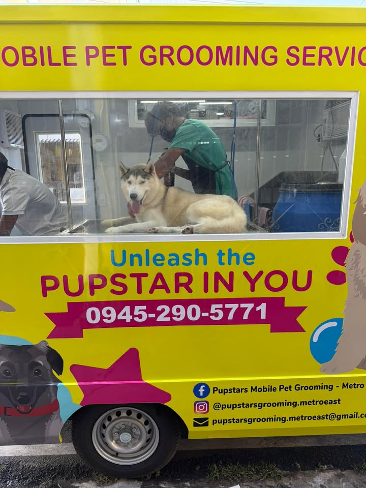 Pupstars Mobile Pet Grooming - Metro East Facebook ad: Hassle-free grooming is just a message away!