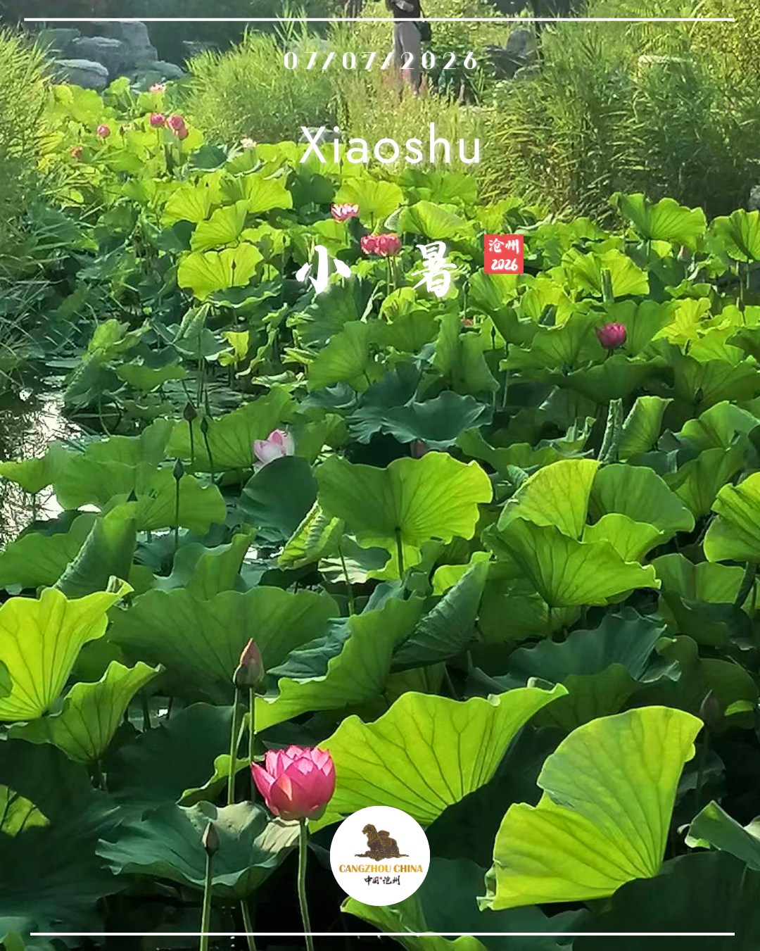 Cangzhou,China Facebook ad: Welcome to Cangzhou, the hometown of Chinese Kung…