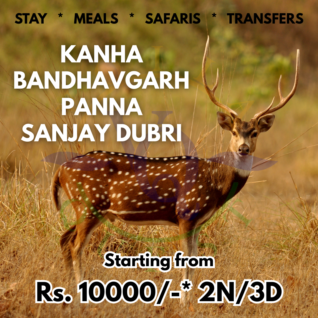 Voila Quest Facebook ad: MP Tiger Reserves are Calling