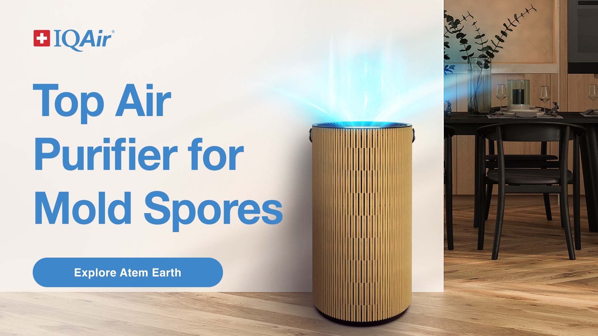 IQAir Facebook ad