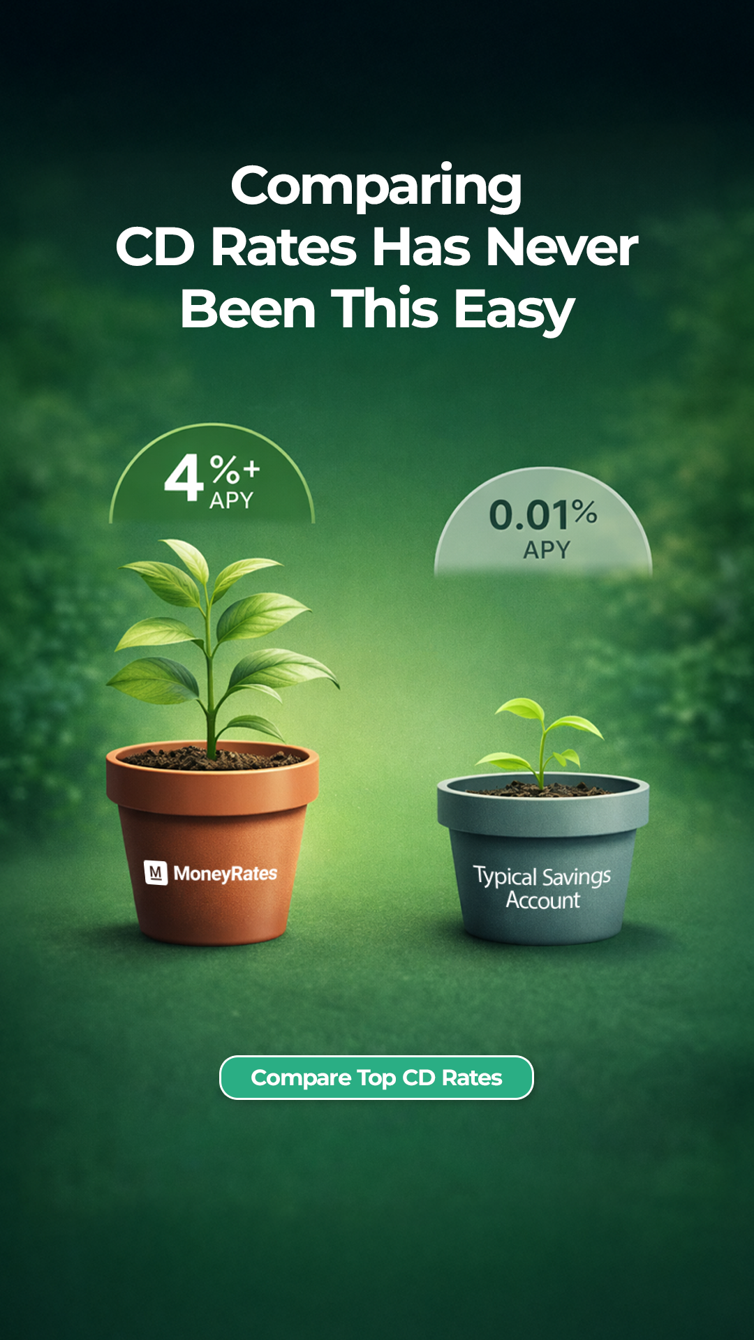 MoneyRates.com Facebook ad