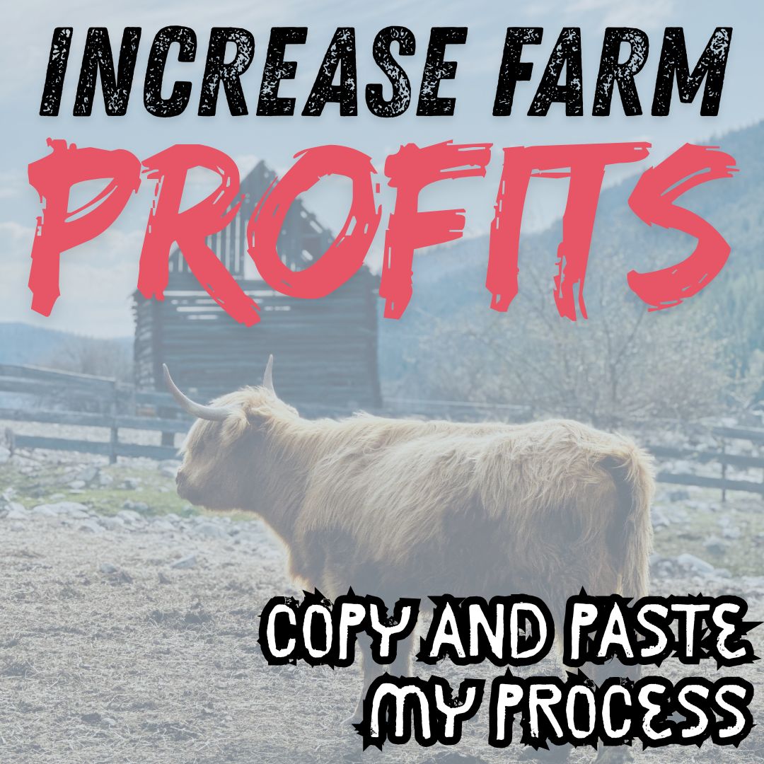 Sell Beef Direct Facebook ad