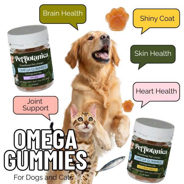 Pet Botanica - Natural Pet Products Australia Facebook ad