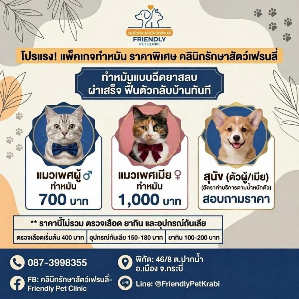 คลินิกรักษาสัตว์เฟรนลี่ - Friendly Pet Clinic Facebook ad