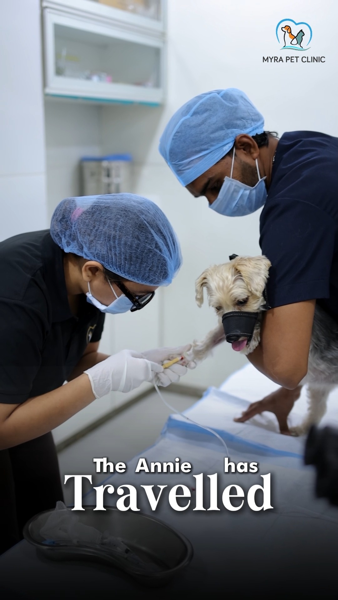 Myra Pet Clinic & Surgery Centre Facebook ad: ANNIE’S JOURNEY TO BETTER EYE CARE REACHED AN…