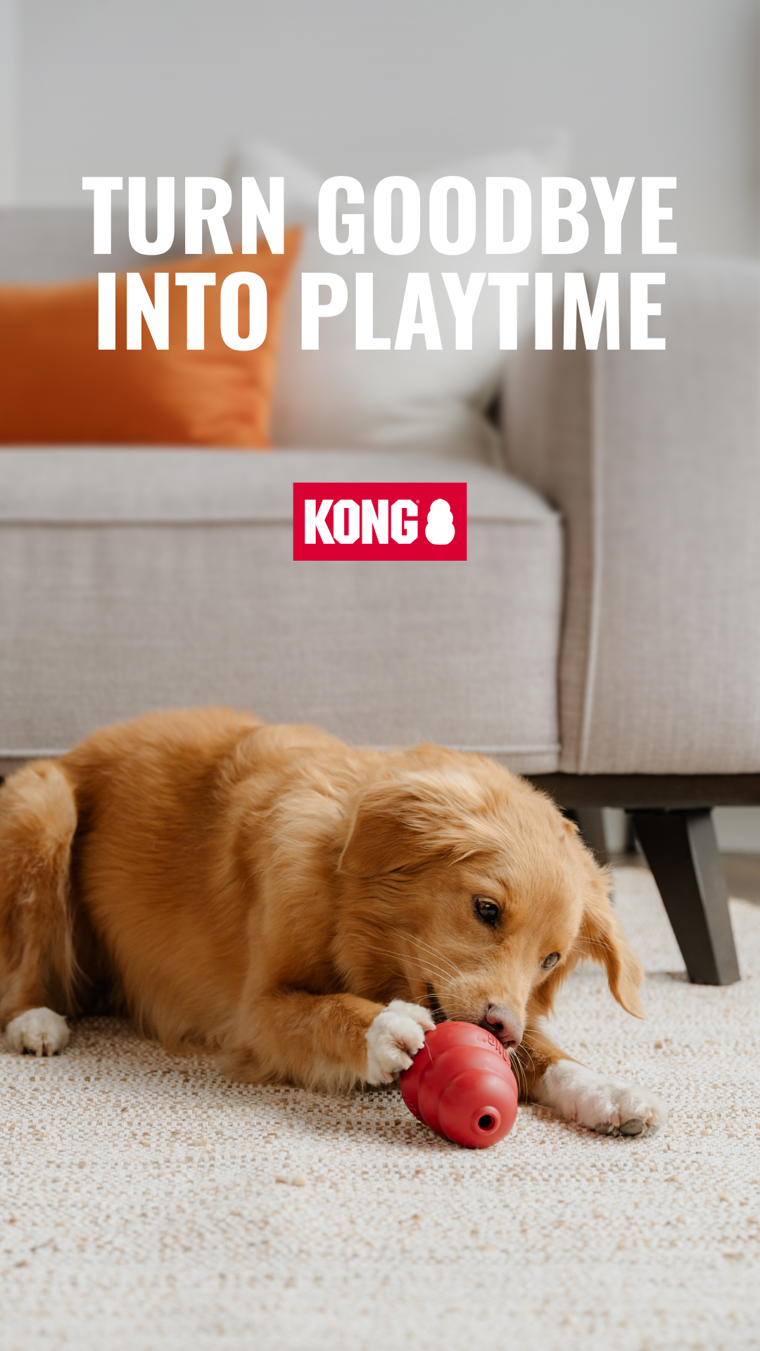 KONG Facebook ad