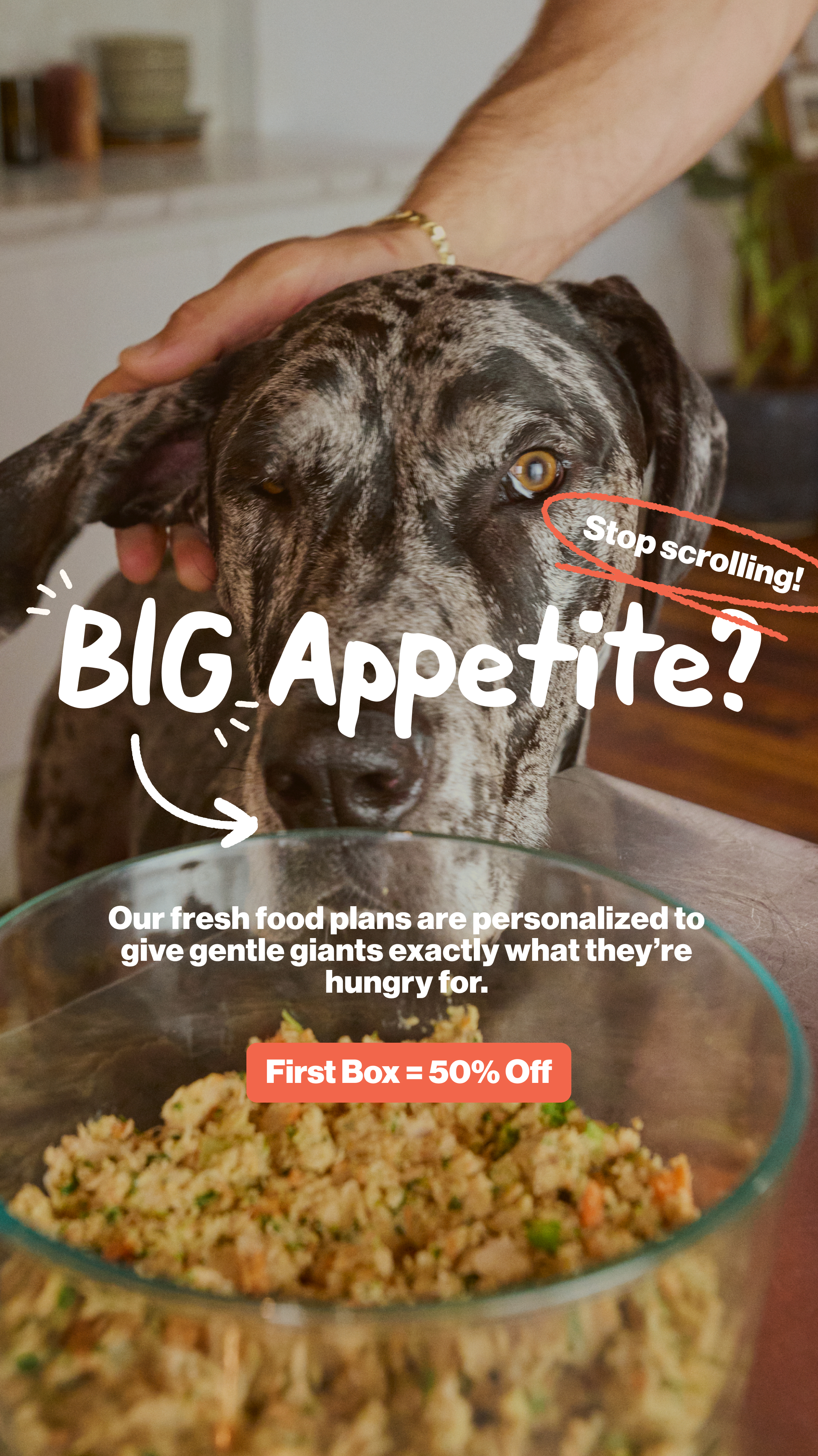 The Farmer's Dog Facebook ad