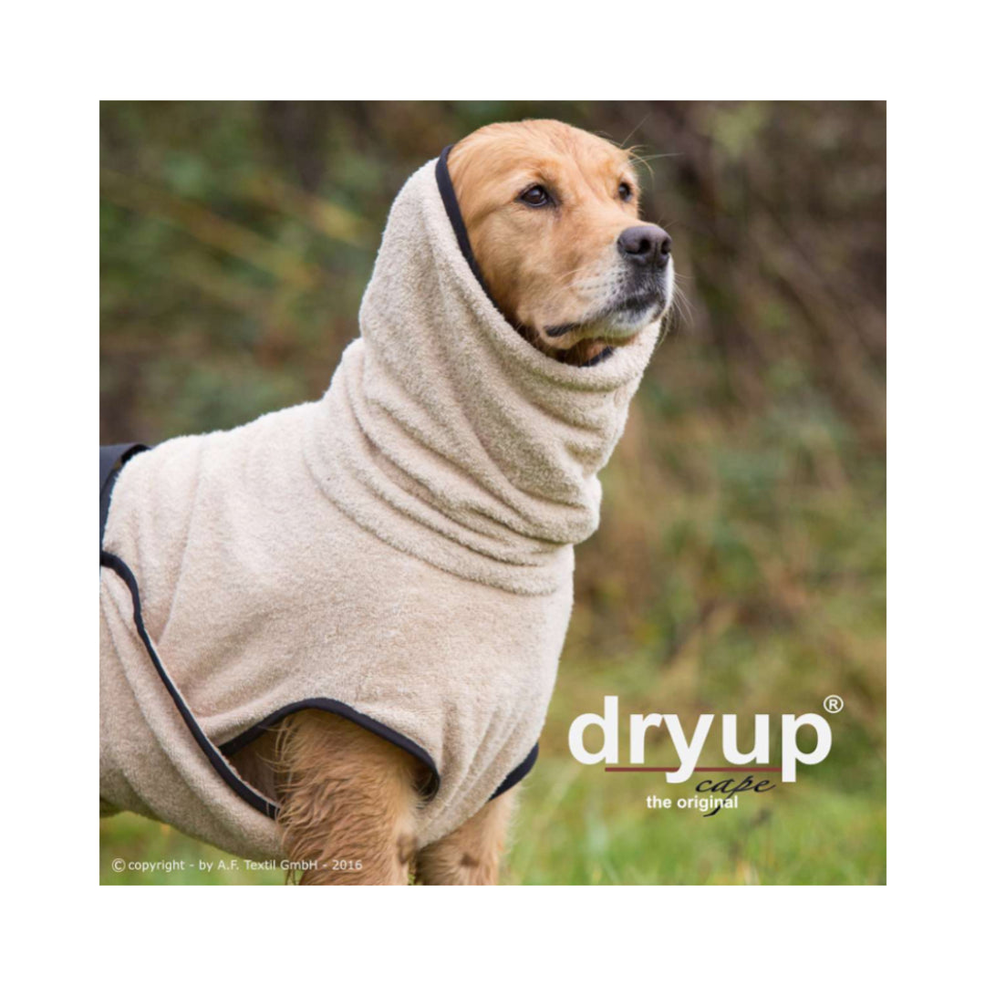 Lovin'dog Facebook ad