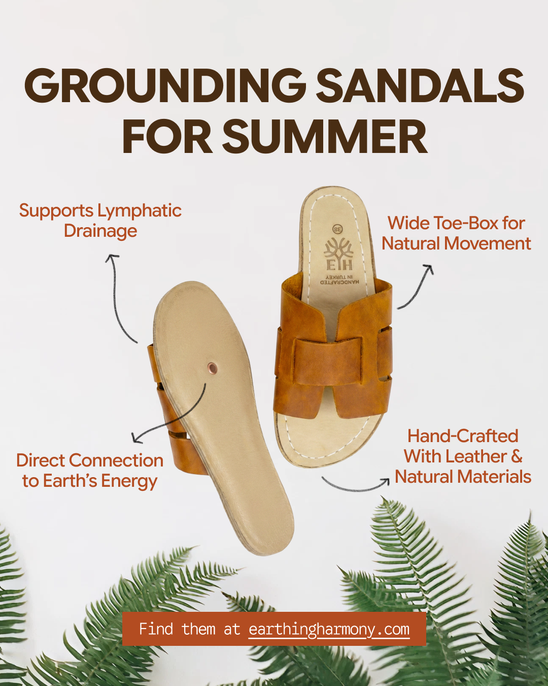 Earthing Harmony Facebook ad