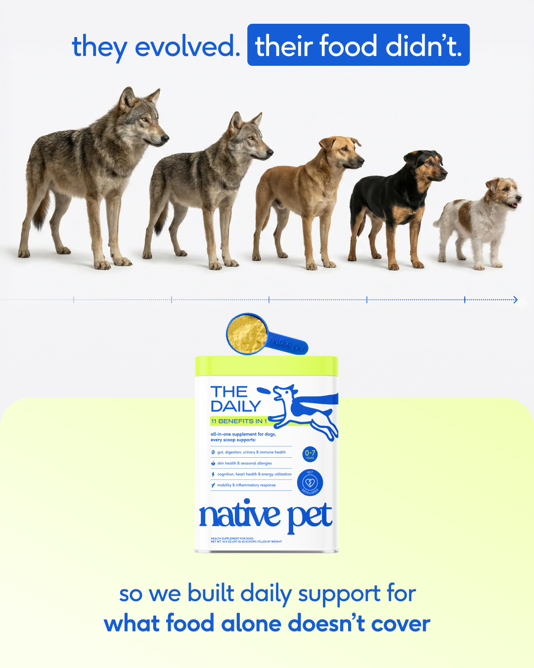 Native Pet Facebook ad