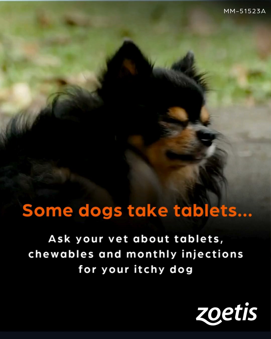 Zoetis Pets Facebook ad: Dog Itch Treatments