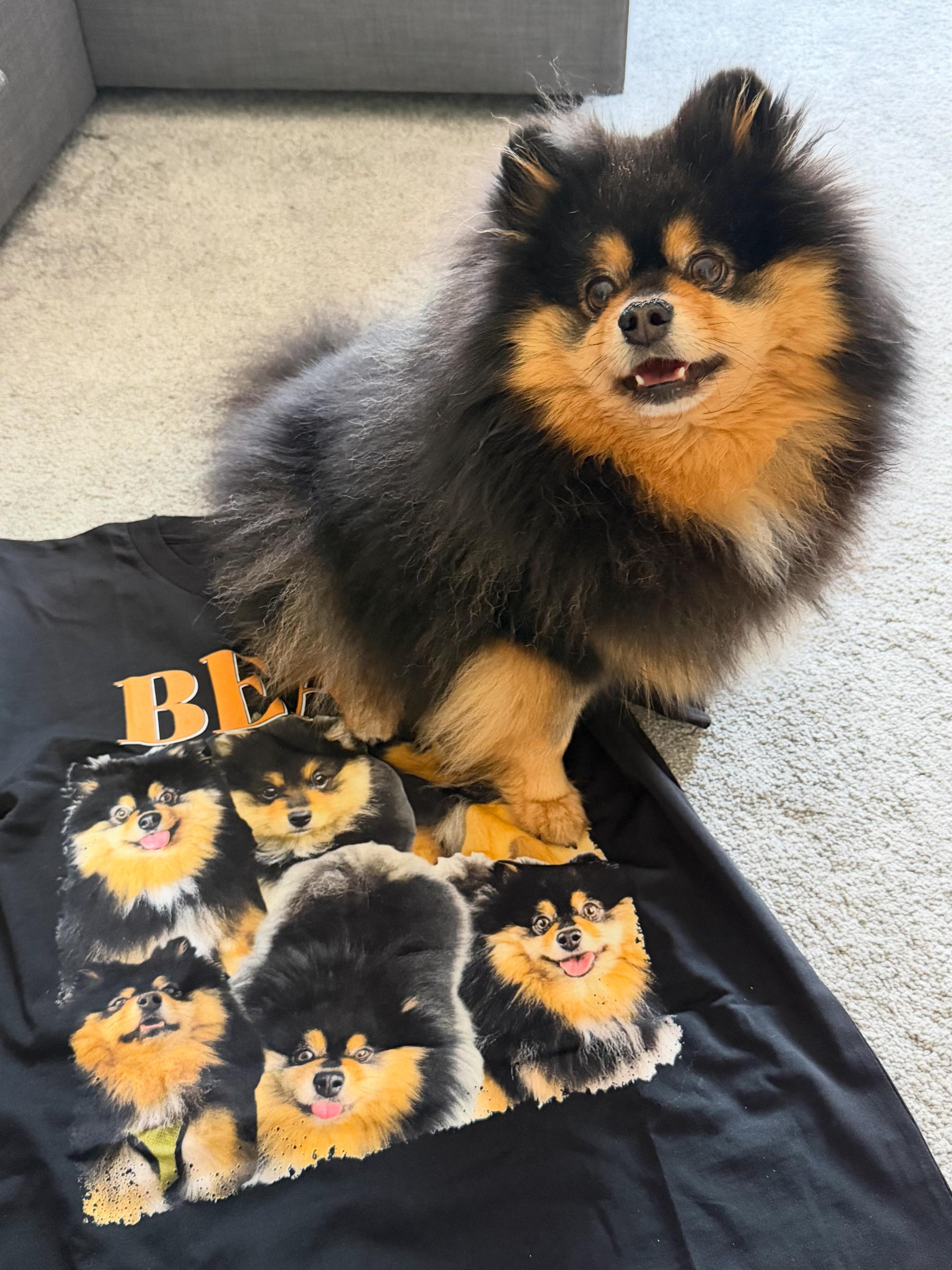 _thebearpom Facebook ad