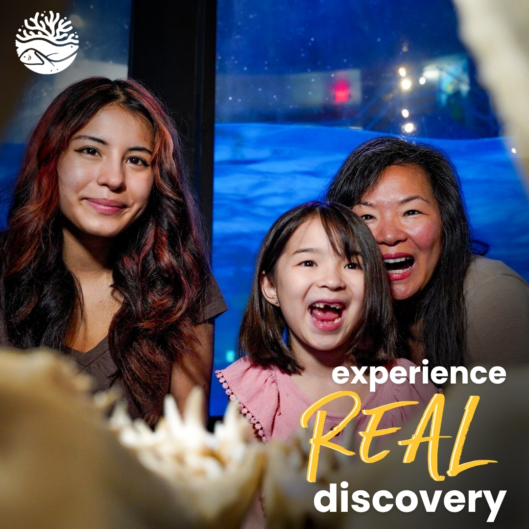 Aquarium of Niagara Facebook ad: Real wonder is waiting.