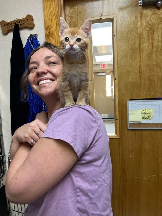 Schertz Animal Hospital Facebook ad: Welcome to Schertz Animal Hospital!