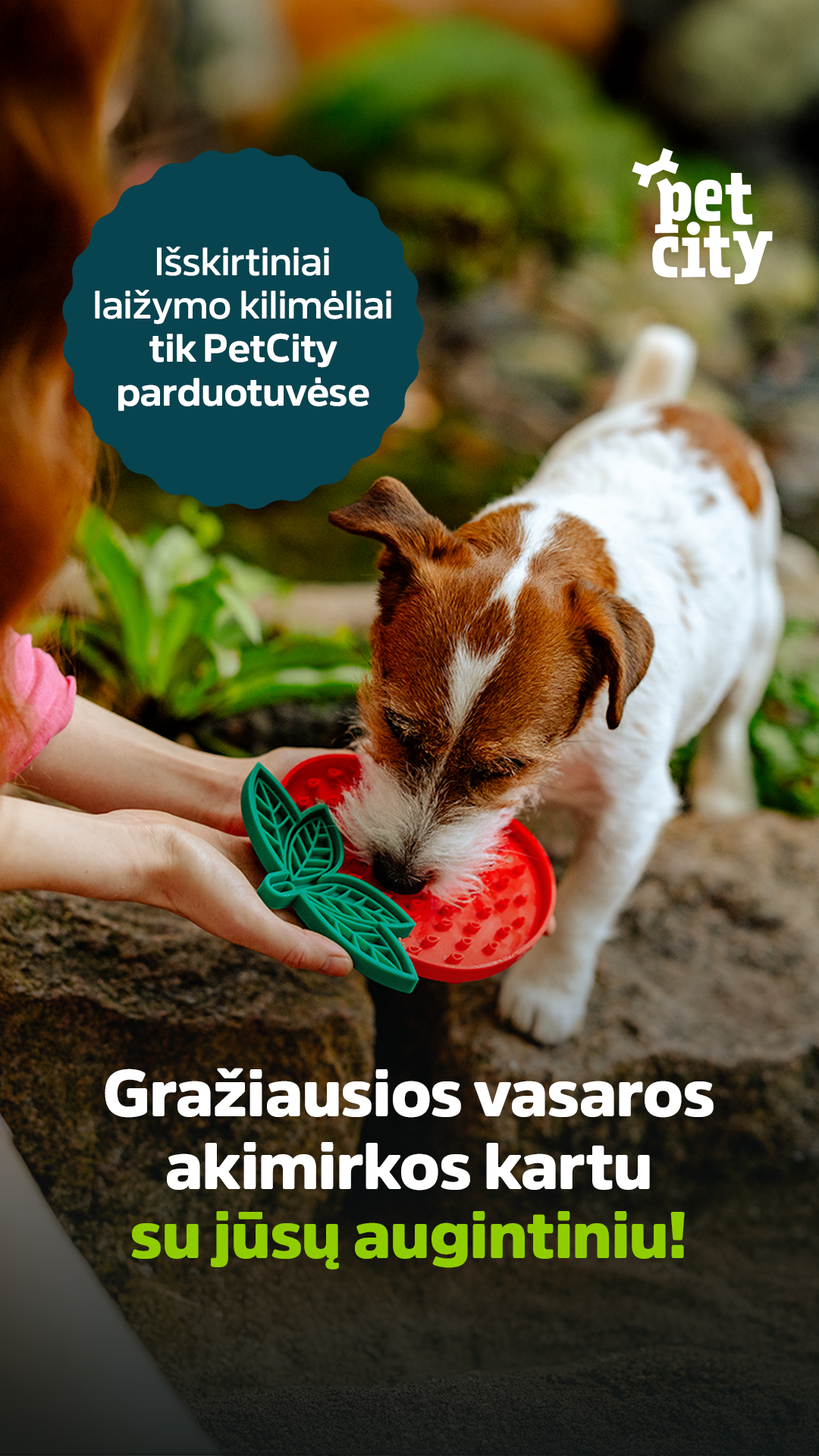 PetCity Lietuva Facebook ad