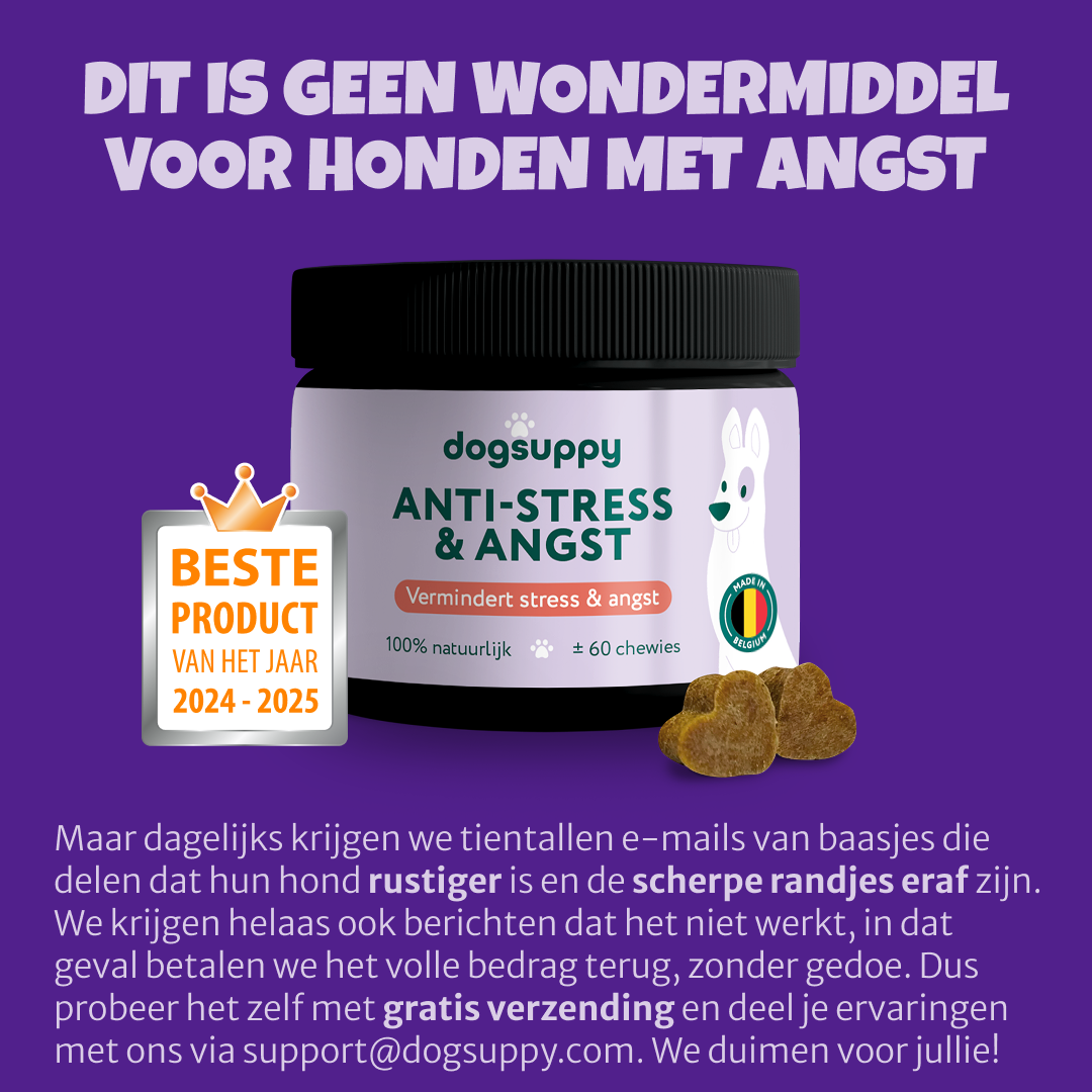 DogSuppy Facebook ad