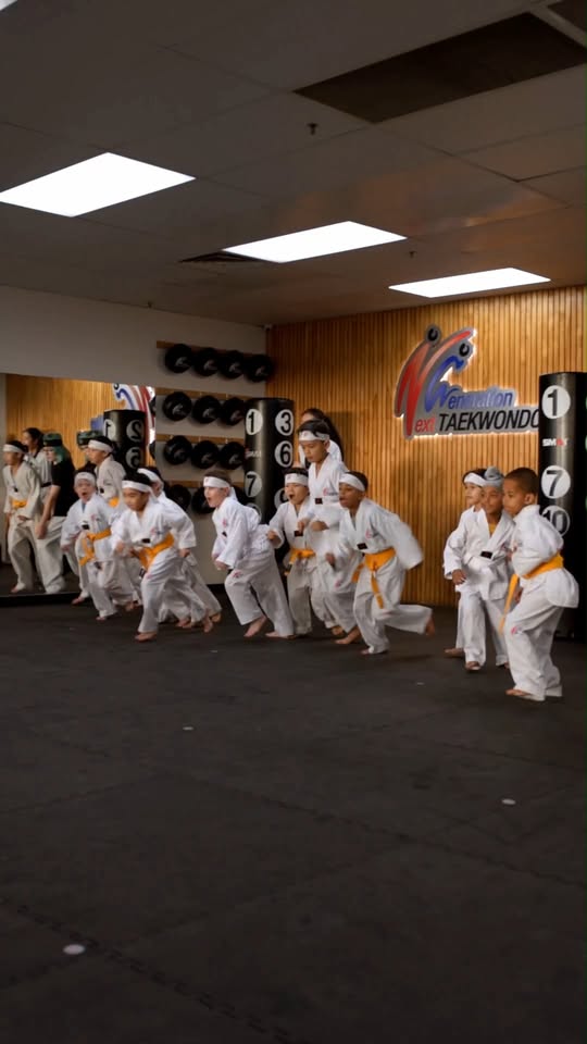 Next Generation Taekwondo Facebook ad: Free Trial Classes