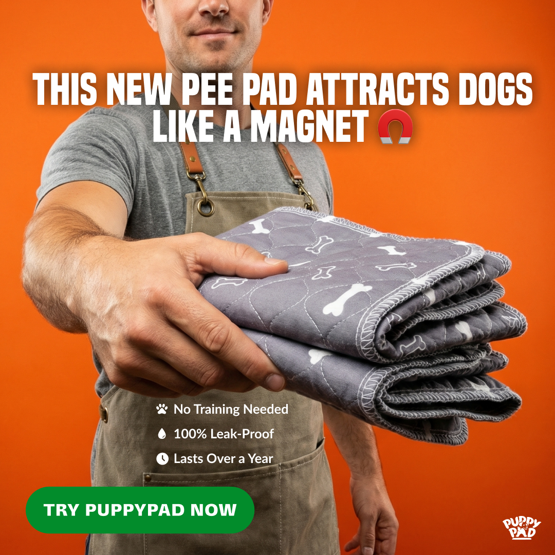 PuppyPad Facebook ad