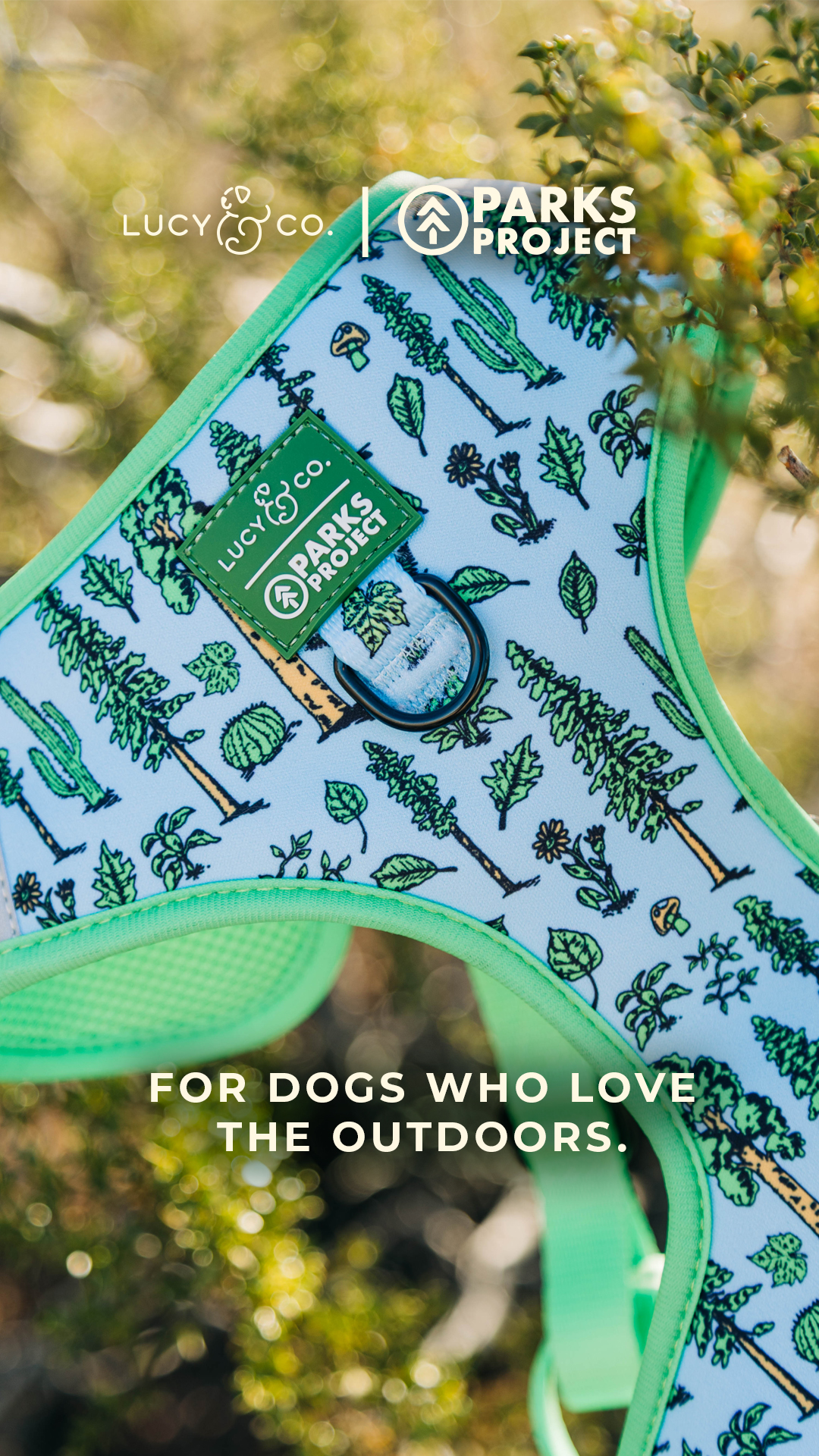 Lucy & Co. Facebook ad