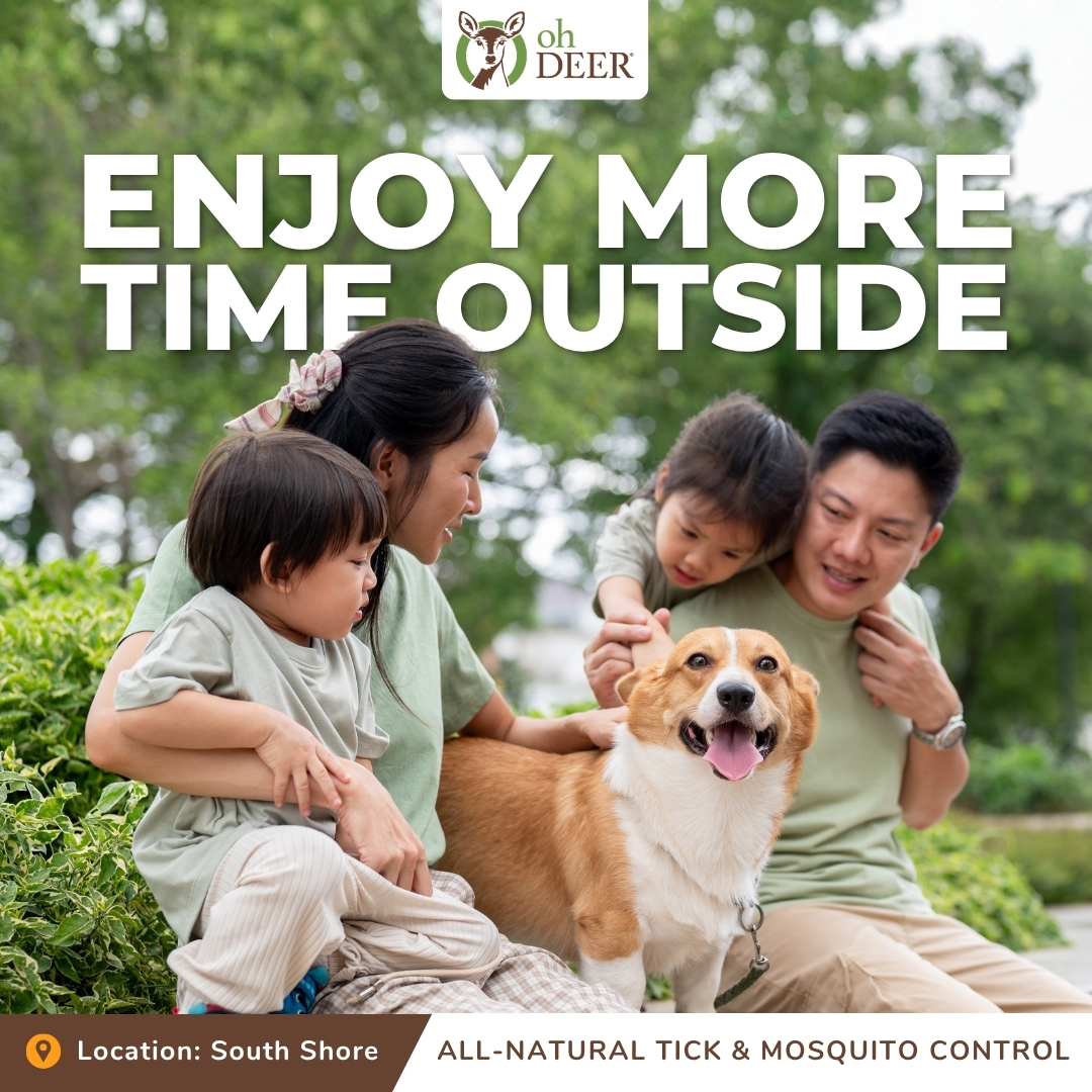 ohDEER South Shore Facebook ad