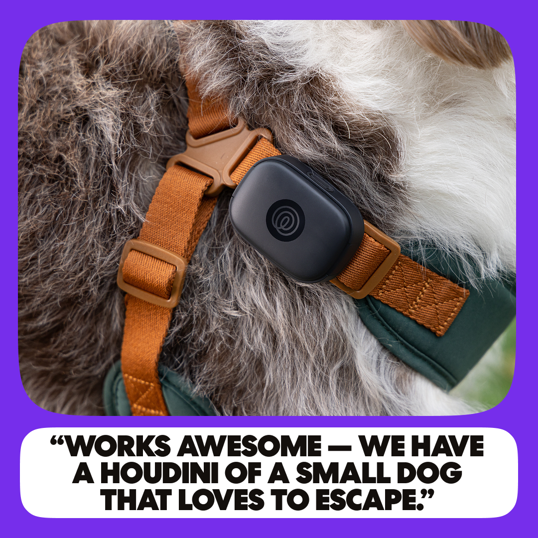 Life360 Facebook ad: Your Family Circle just got bigger.