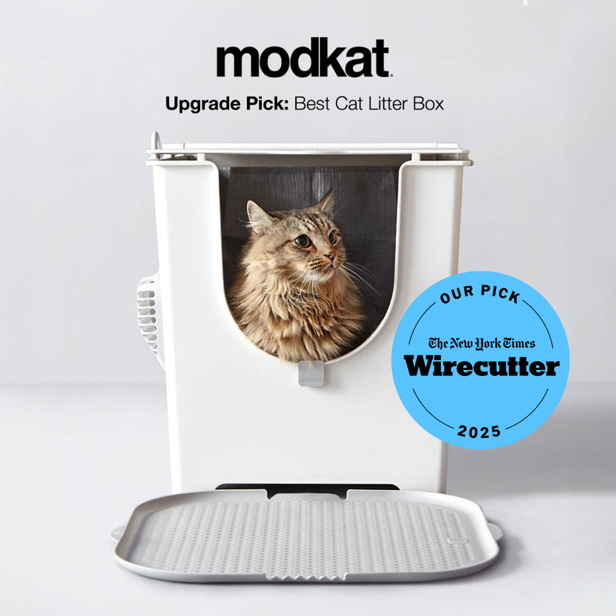 Modkat Facebook ad