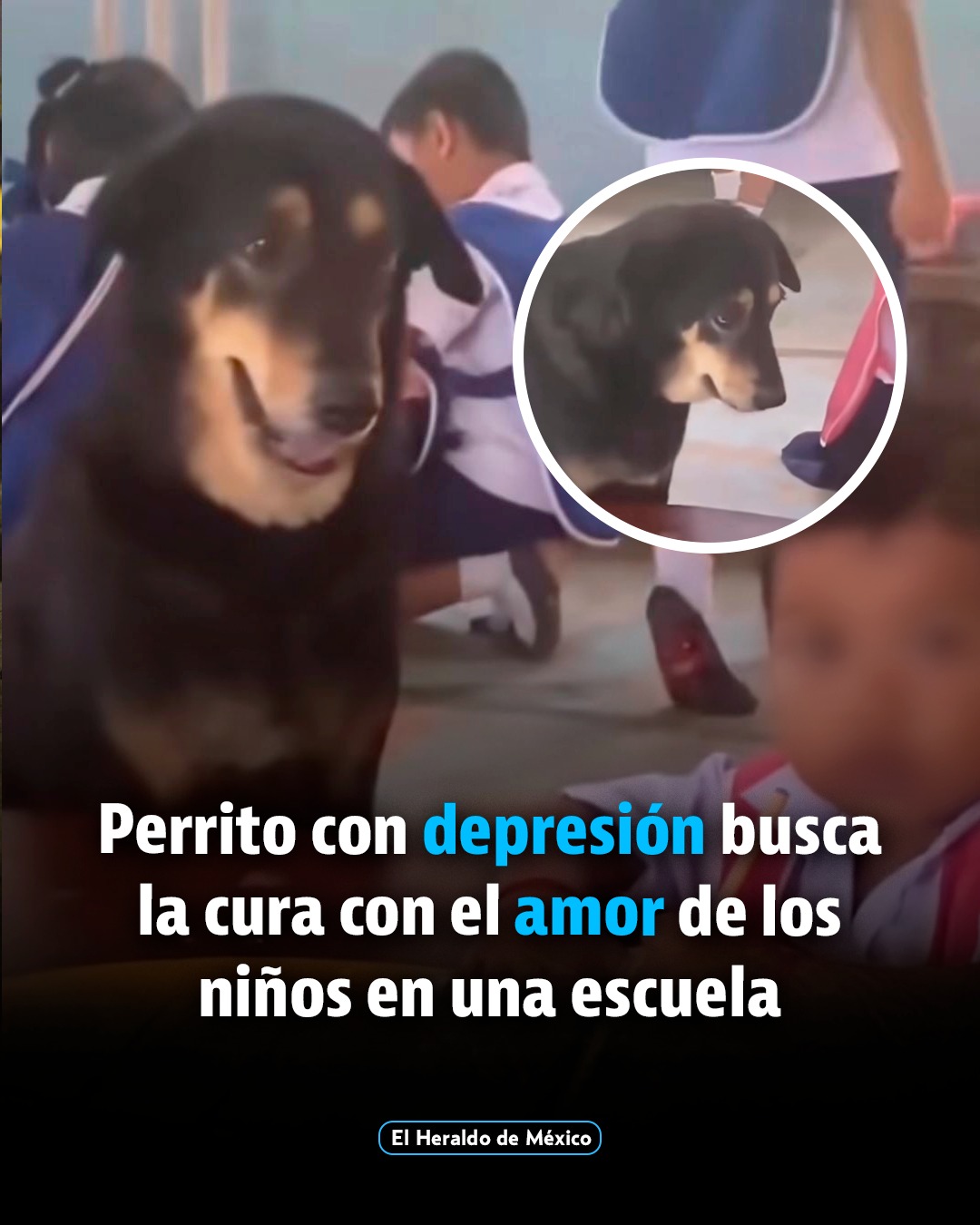 El Heraldo de México Facebook ad