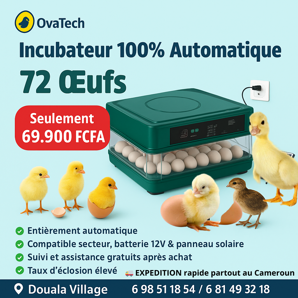Ovatech Facebook ad
